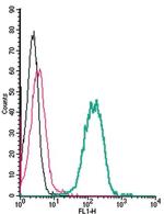 EphA4 (extracellular) Antibody in Flow Cytometry (Flow)