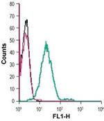 GPER1/GPR30 (extracellular) Antibody in Flow Cytometry (Flow)