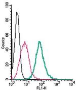 GPER1/GPR30 (extracellular) Antibody in Flow Cytometry (Flow)