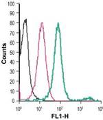 EMR1 (ADGRE1) (extracellular) Antibody in Flow Cytometry (Flow)