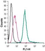 EMR1 (ADGRE1) (extracellular) Antibody in Flow Cytometry (Flow)