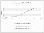 Human Heregulin beta-1, Animal-Free Protein in Functional Assay (Functional)