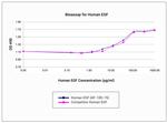 Human EGF, Animal-Free Protein in Functional Assay (FN)