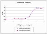 Human VEGF-121, Animal-Free Protein in Functional Assay (Functional)