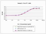 Human IL-13, Animal-Free Protein in Functional Assay (FN)