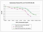 Human IFN-gamma, Animal-Free Protein in Functional Assay (Functional)