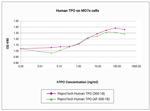 Human TPO (Thrombopoietin), Animal-Free Protein in Functional Assay (FN)