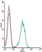 FPR2/ALX (extracellular) Antibody in Flow Cytometry (Flow)