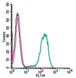 Frizzled-1 (FZD1) (extracellular) Antibody in Flow Cytometry (Flow)