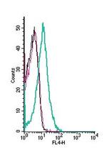 FLRT3 (extracellular) Antibody in Flow Cytometry (Flow)