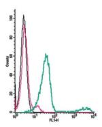 GABA(B) Receptor 1 (extracellular) Antibody in Flow Cytometry (Flow)