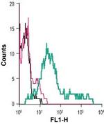 EAAT1 (GLAST) (extracellular) Antibody in Flow Cytometry (Flow)