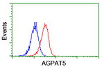 AGPAT5 Antibody in Flow Cytometry (Flow)