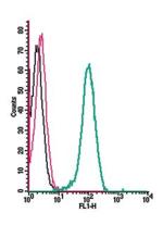 GLP2R (extracellular) Antibody in Flow Cytometry (Flow)