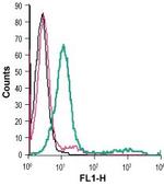 GPR65 (TDAG8) (extracellular) Antibody in Flow Cytometry (Flow)