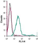 GPR65 (TDAG8) (extracellular) Antibody in Flow Cytometry (Flow)