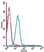 GPR65 (TDAG8) (extracellular) Antibody in Flow Cytometry (Flow)