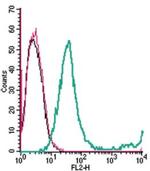 GPR65 (TDAG8) (extracellular) Antibody in Flow Cytometry (Flow)