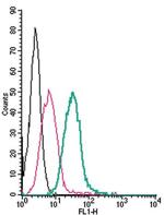 GPR35 (extracellular) Antibody in Flow Cytometry (Flow)