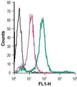 GPR84 (extracellular) Antibody in Flow Cytometry (Flow)