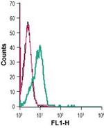 GPR83 (extracellular) Antibody in Flow Cytometry (Flow)