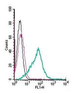 GPR174 (extracellular) Antibody in Flow Cytometry (Flow)