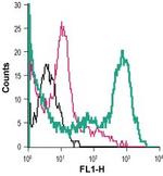 GLUT3 (extracellular) Antibody in Flow Cytometry (Flow)