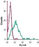 GLUT1 (extracellular) Antibody in Flow Cytometry (Flow)