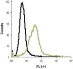 Histamine H2 Receptor (HRH2) (extracellular) Antibody in Flow Cytometry (Flow)