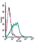 Histamine H1 Receptor/HRH1 (extracellular) Antibody in Flow Cytometry (Flow)