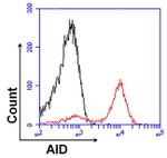 AID Antibody in Flow Cytometry (Flow)