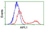 AIPL1 Antibody in Flow Cytometry (Flow)