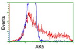 AK5 Antibody in Flow Cytometry (Flow)