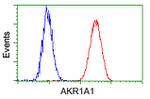 AKR1A1 Antibody in Flow Cytometry (Flow)