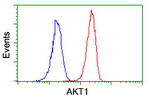 AKT1 Antibody in Flow Cytometry (Flow)