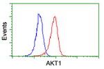 AKT1 Antibody in Flow Cytometry (Flow)