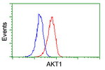 AKT1 Antibody in Flow Cytometry (Flow)