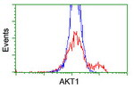 AKT1 Antibody in Flow Cytometry (Flow)