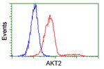 AKT2 Antibody in Flow Cytometry (Flow)