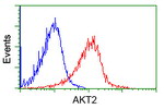 AKT2 Antibody in Flow Cytometry (Flow)