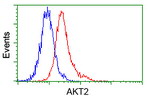 AKT2 Antibody in Flow Cytometry (Flow)