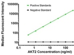 AKT2 Antibody in Luminex (LUM)