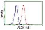 ALDH1A3 Antibody in Flow Cytometry (Flow)