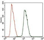 ALDH2 Antibody in Flow Cytometry (Flow)