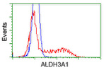 ALDH3A1 Antibody in Flow Cytometry (Flow)