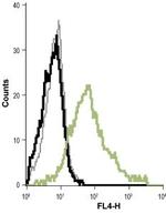 KCNN4 (KCa3.1, SK4) (extracellular) Antibody in Flow Cytometry (Flow)