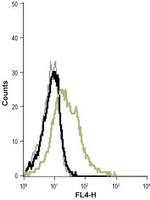 KCNN4 (KCa3.1, SK4) (extracellular) Antibody in Flow Cytometry (Flow)