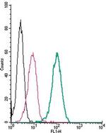 LPAR2 (EDG4) (extracellular) Antibody in Flow Cytometry (Flow)