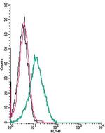 CHRM5 (extracellular) Antibody in Flow Cytometry (Flow)