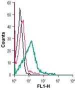 Dopamine Transporter (DAT) (extracellular) Antibody in Flow Cytometry (Flow)